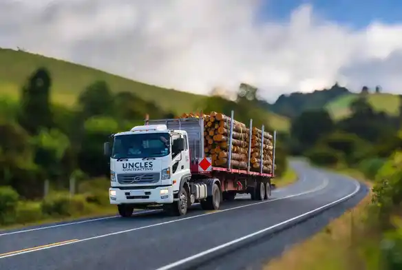 Professional driver for hire service